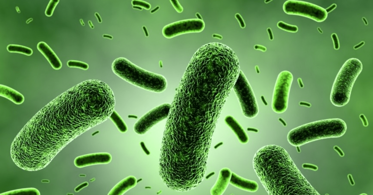 The Role Of Chlorine Dioxide In Combating Microbes