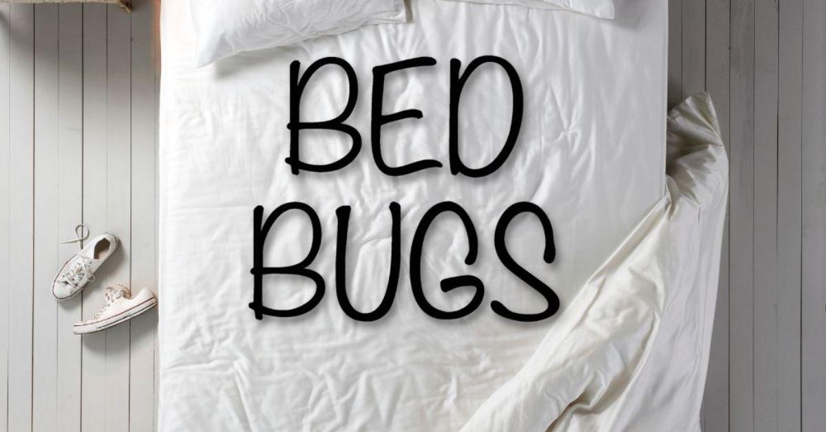 Treatment For Bed Bugs